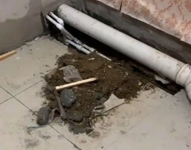 新乡市卫生间漏水检测哪家好